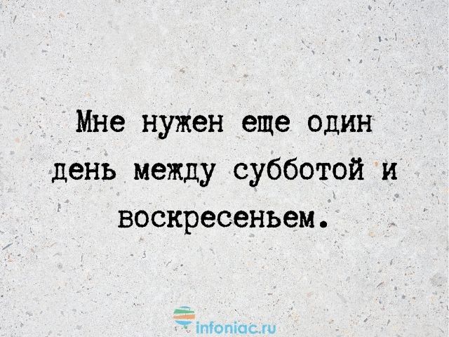 Прикольная картинка на субботу с котиком на пляже 2025