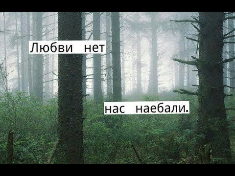 Нет любви выше, чем уважение