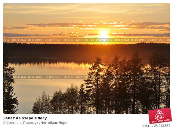 Закат в морозные дни в лесу💛🧡☀️ Солнце 