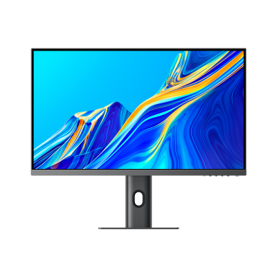 Computer Monitor 