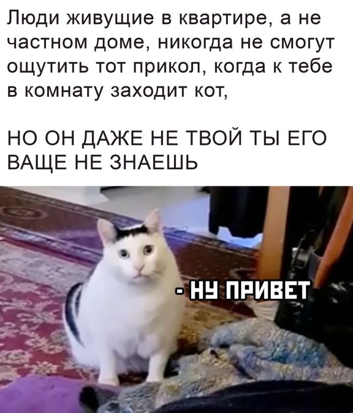 Прикольные картинки с надписями