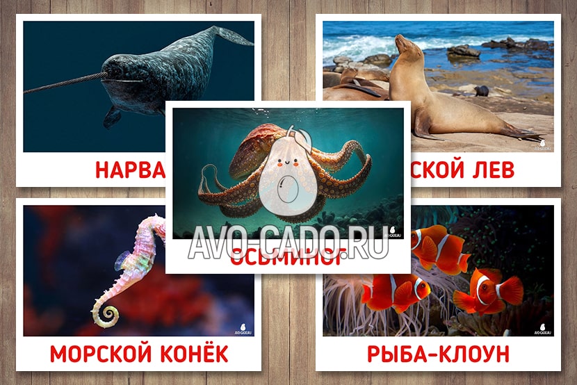 морские обитатели из фетра, поделки на морскую тему 