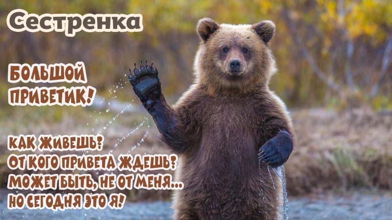 Listen to Привет Сестрёнка