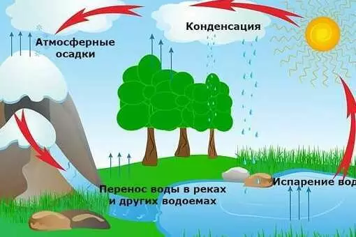 23 очень странных факта о воде