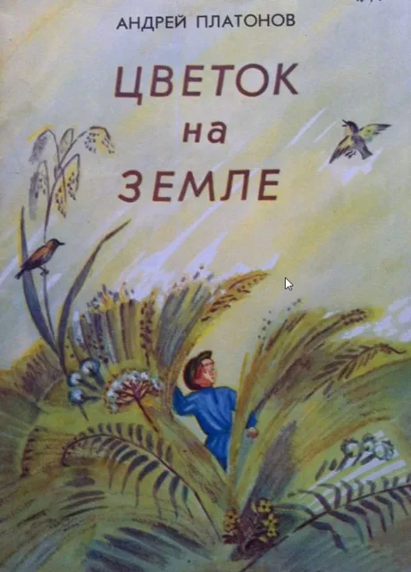 один фиолетовый цветок на земле с коричневыми листьями, Кёнги 