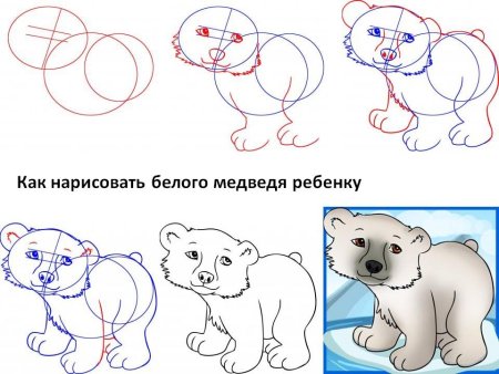 Как нарисовать рисовать медведя 