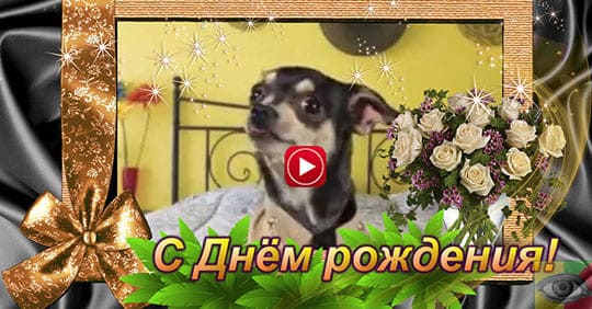 СУПЕР! Самое веселое и шутливое поздравление женщины с Днем 