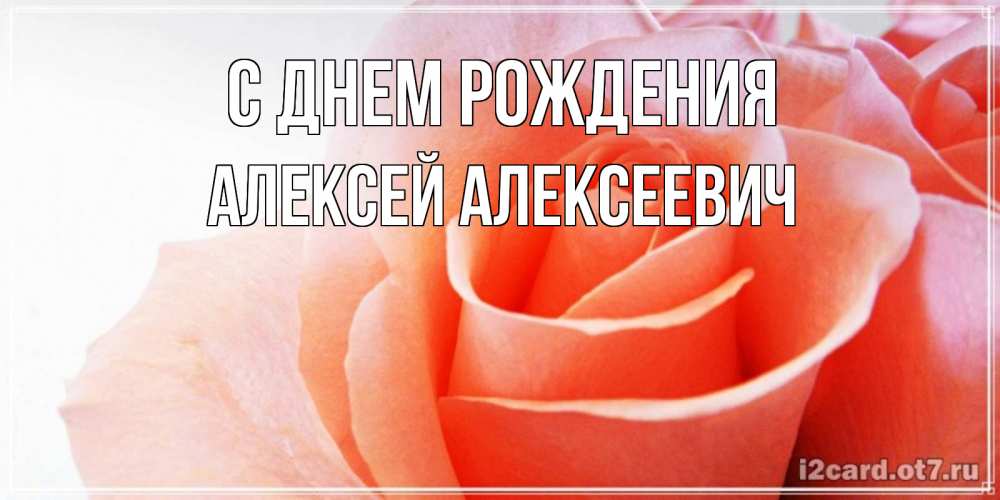 Поздравления с днем рождения Алексею 