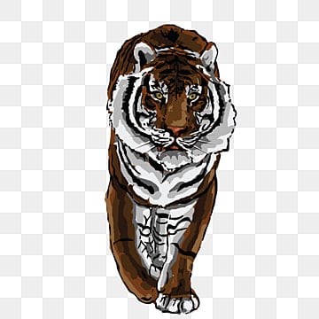 drawing of a tiger ПРОСТОЙ 