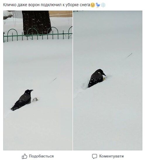 Скачать картинки Ноябрь снег, стоковые 