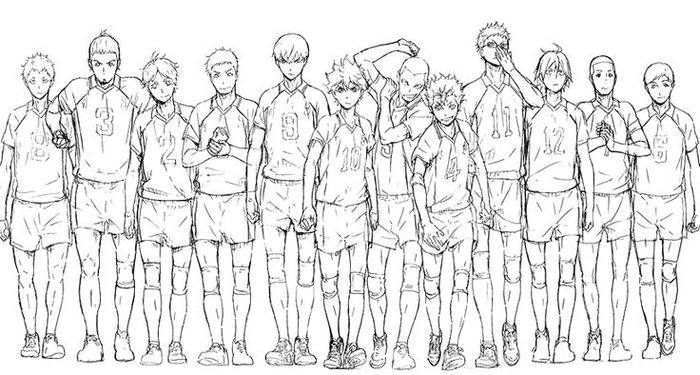 Картина по номерам «Аниме Волейбол Haikyu