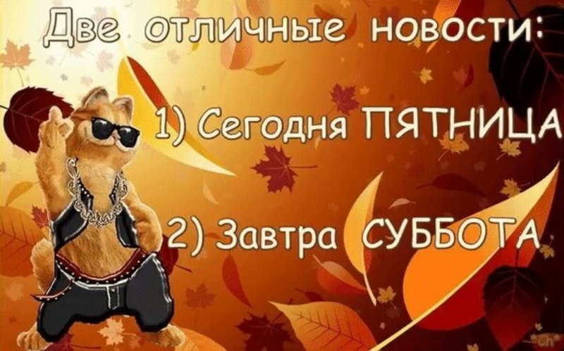 Смешные новые анекдоты про пятницу и 