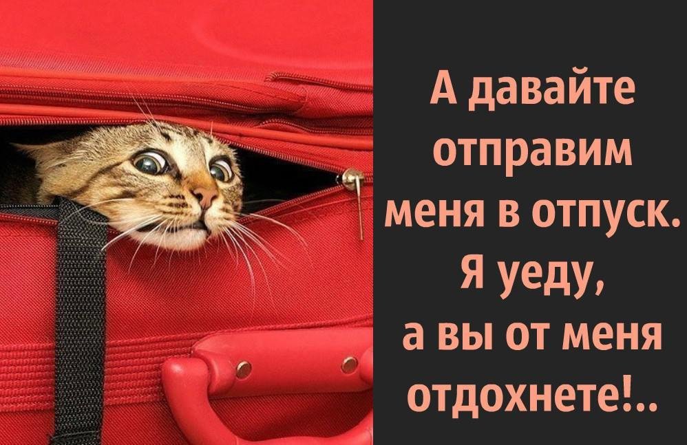 КОГДА ПРИШЕЛ НА РАБОТУ ПОСЛЕ ОТПУСКА 