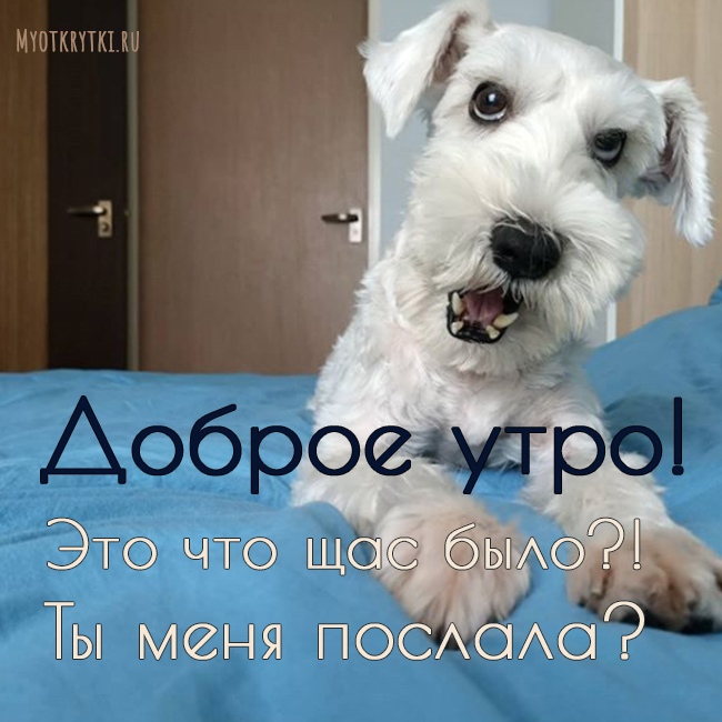 Доброе утро