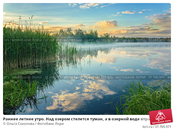 Купить заказать пейзаж 