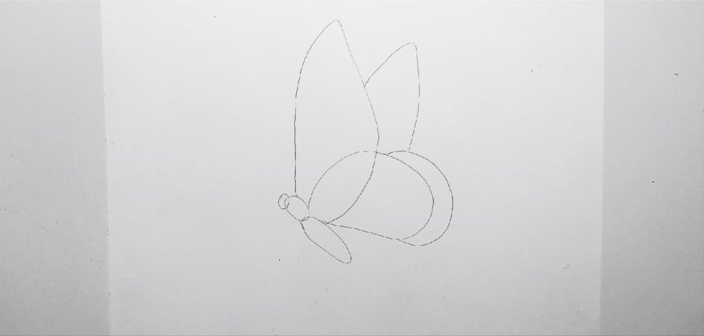 Butterfly Drawing Line art, Черно-белые рисунки бабочки 