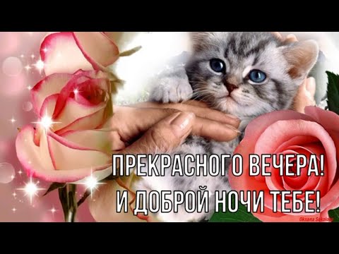 Пожелания доброго вечера понедельника