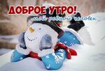 Всем доброе утро ! #утро #доброеутро 