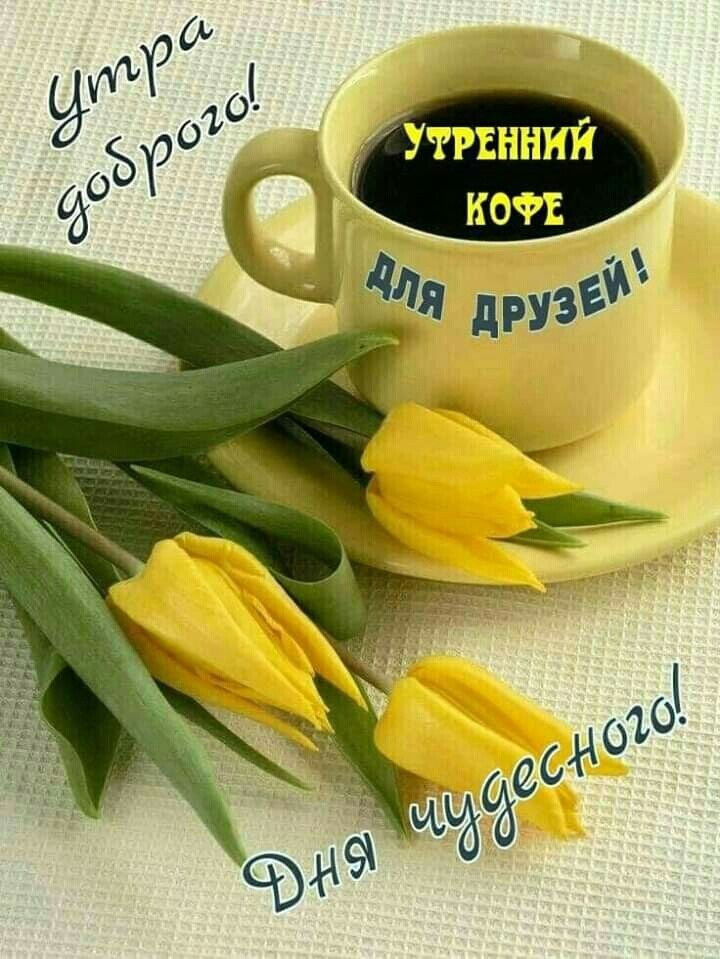 🍃 ⛅ ☕ С ДОБРЫМ АПРЕЛЬСКИМ УТРОМ! Яркие 