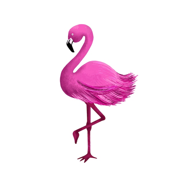 Pink flamingo hand drawn illustration