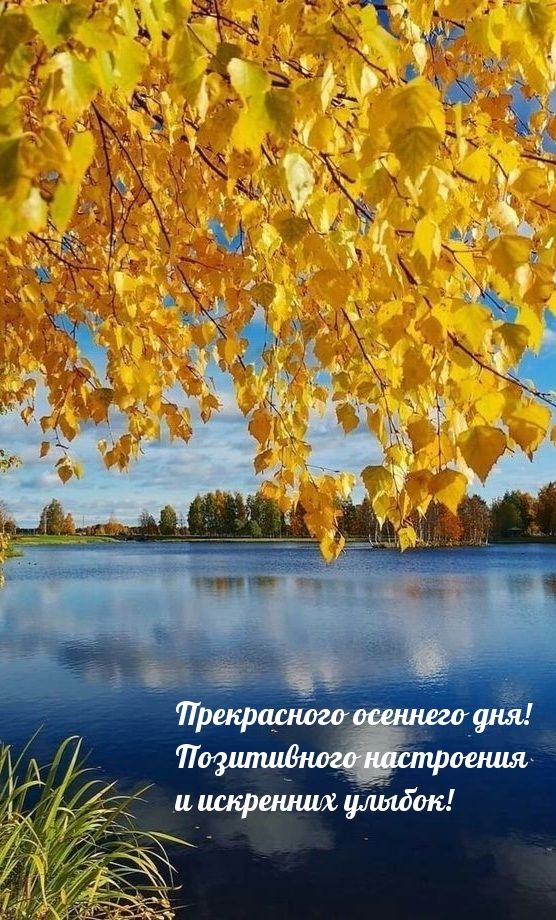 Красивые картинки Добрый день природа 