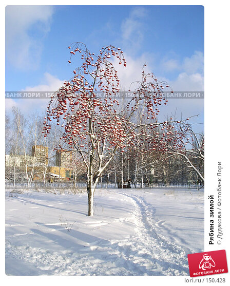 Фотогалерея fotosky