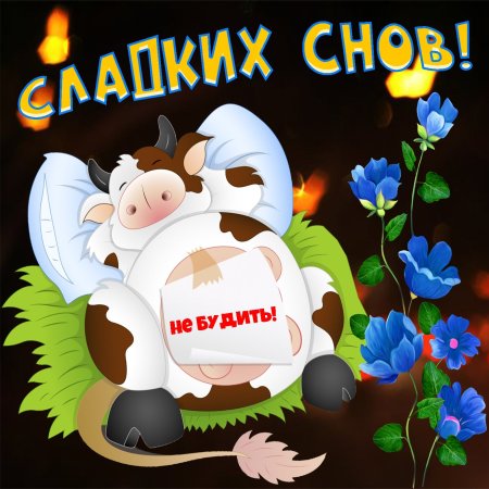 Прикольные картинки Приятных снов женщине с юмором 