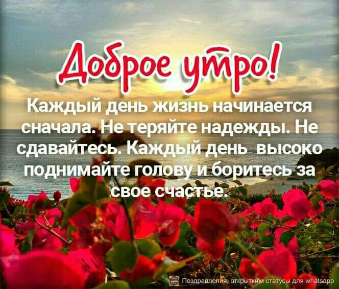 10 фишек WhatsApp, о которых не 