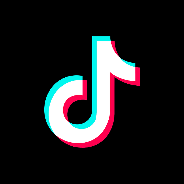 Best Time to Post on TikTok [Analyzed 