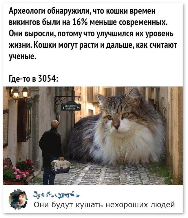 Создать мем «кот силач, мем с белым 