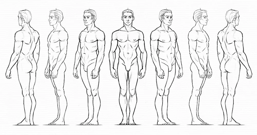 Как рисовать тело человека