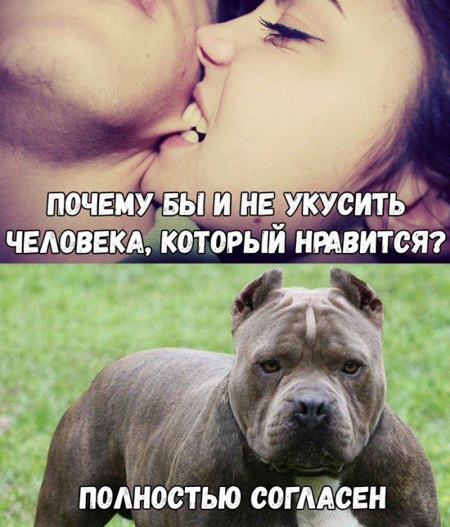 Вопросы девушке