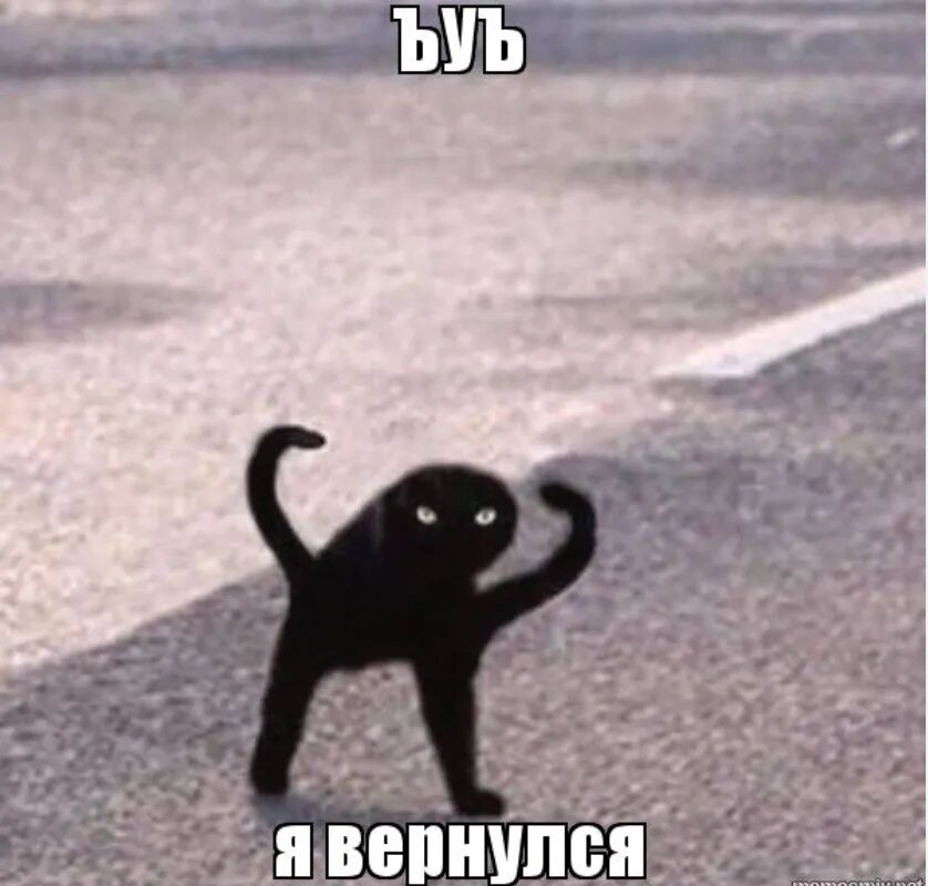 Я вернулся, суки 