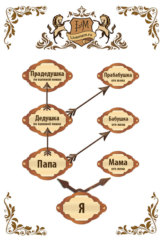 Как составить правильное генеалогическое древо