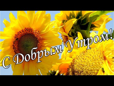 Доброе утро