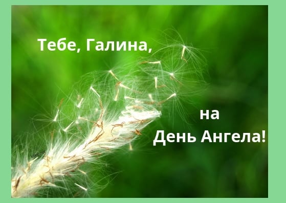 Сегодня день ангела Галины