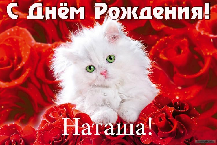 С днем рождения, Наталия Ивановна!