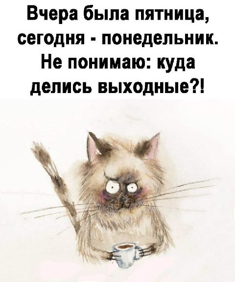 Котоматрица