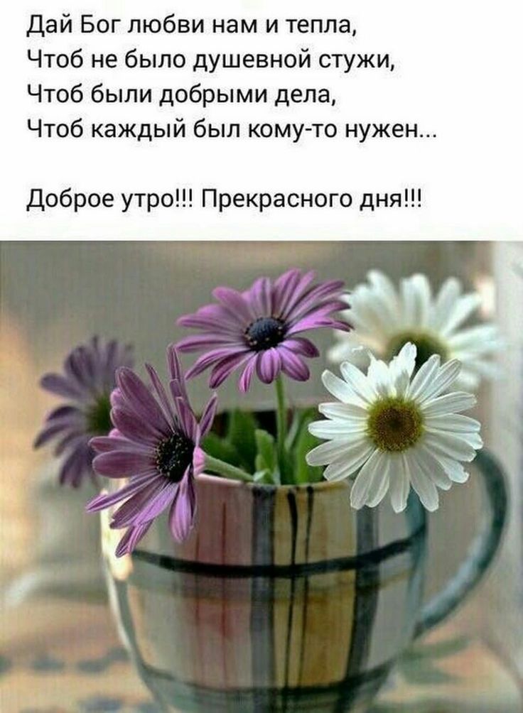 🌞 Самого доброго летнего утра! 💗 Благословенного дня 