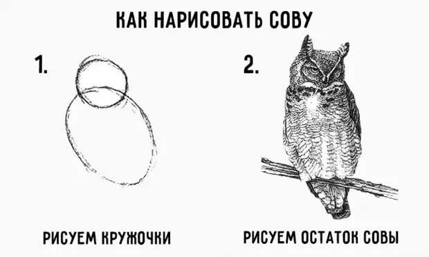 Трафарет Красивая сова для вырезания из бумаги