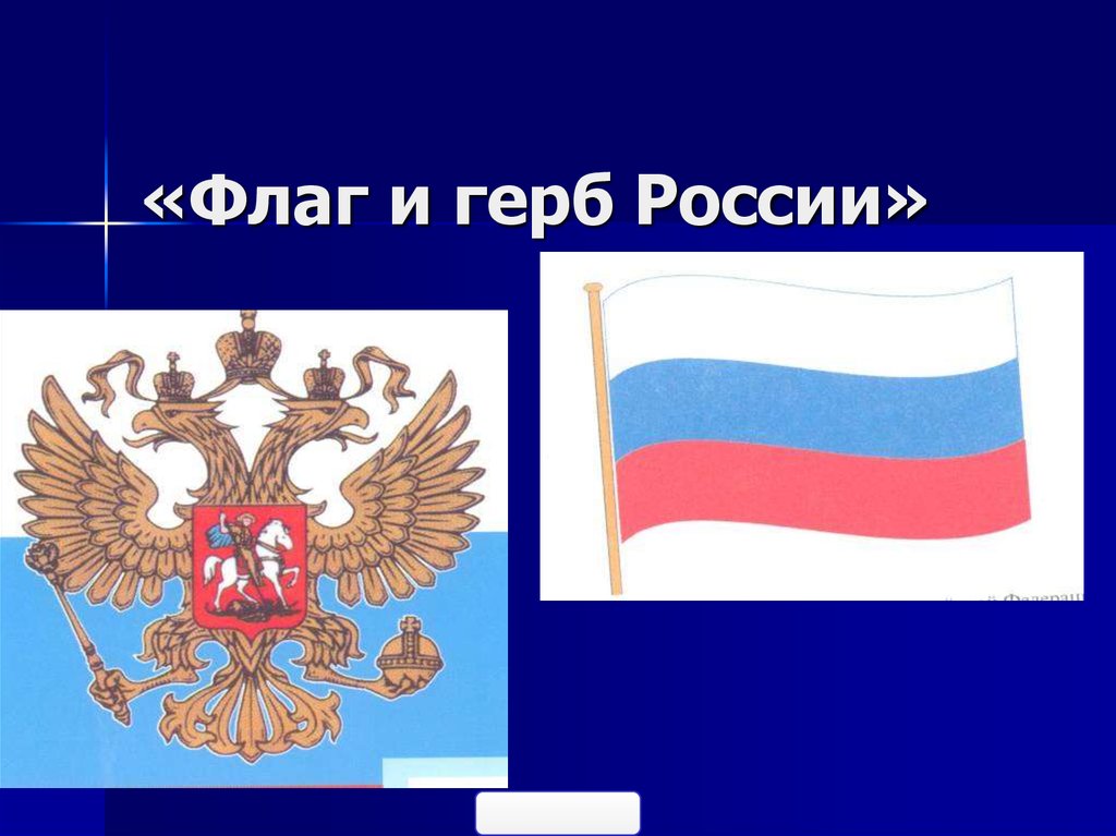 Флаг России с гербом и надписью 