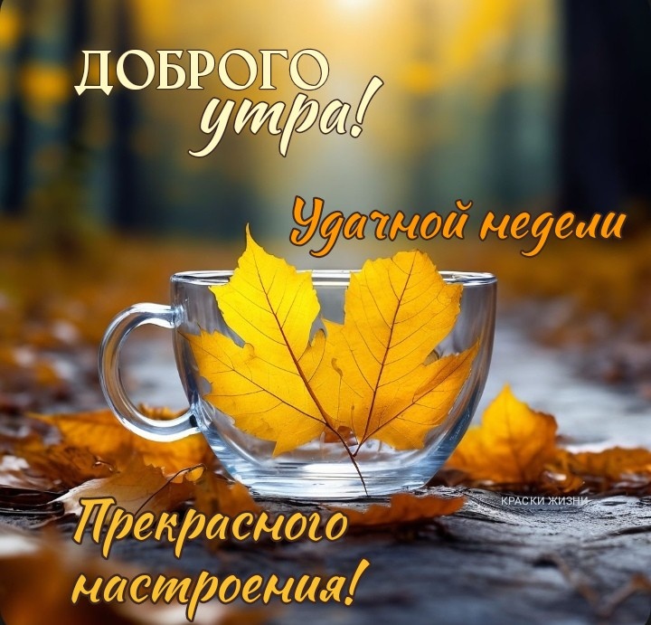 Доброе утро