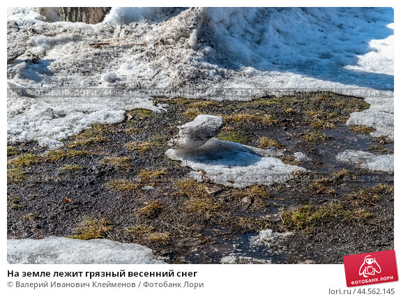 Обои весна, снег, цветы на рабочий стол 