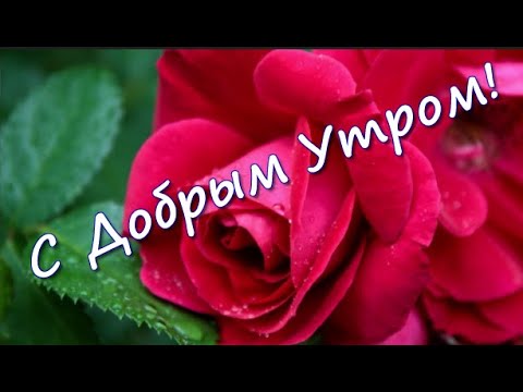 Доброго утра! Будьте счастливы! Без 