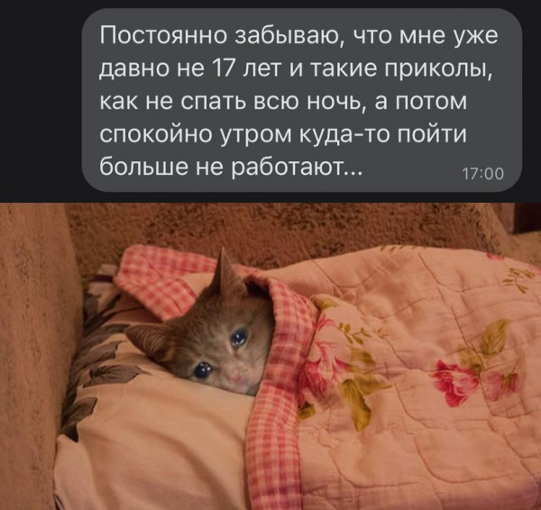 Не понимаю таких людей, которые выпьют и сразу идут спать