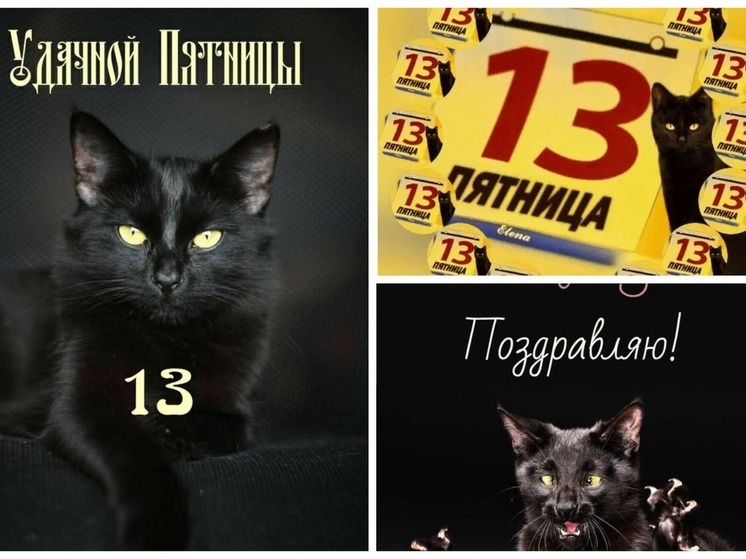 Приколы про пятницу 13-е » Невседома